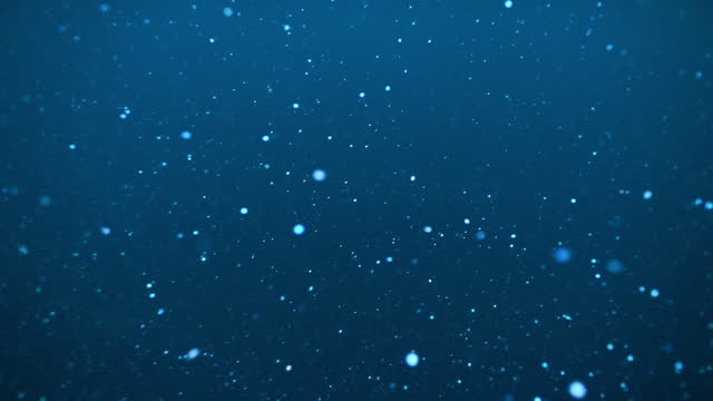 Floating in fish feeding frenzy in the dark blue cold frigid waters of the arctic circle, Norway during winter