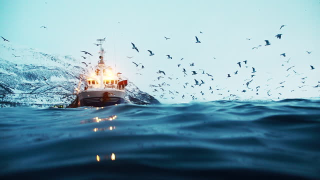 Surface shot of many birds flying around fishing vessel with cold deep dark ocean beneath the surface in the Arctic Circle, Norway.
