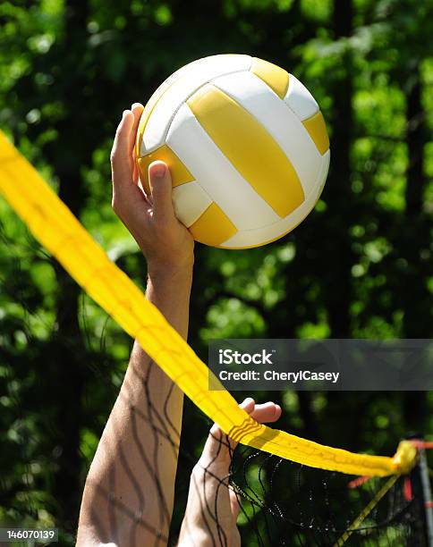 Voleibol Jogo - Fotografias de stock e mais imagens de Atividade Recreativa - Atividade Recreativa, Bola, Brincalhão