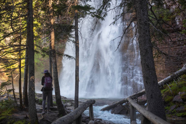 virginia falls, parc national des glaciers, montana - chutes virginia photos et images de collection