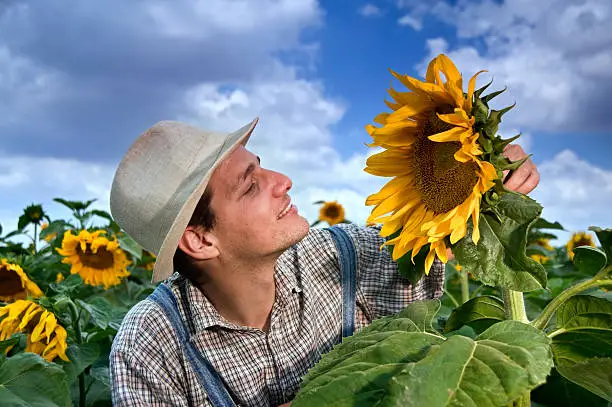 Photo of farmer in sunflower field with clouds