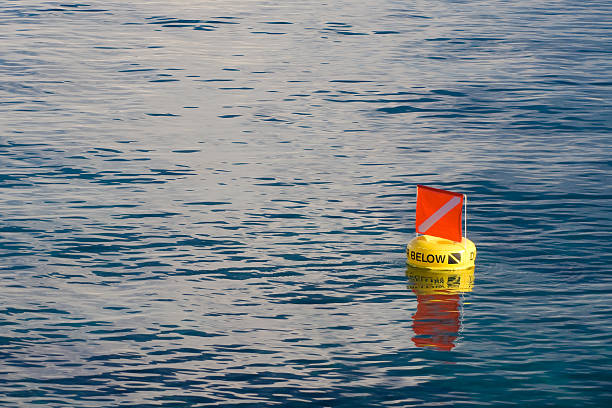 mar calmo com uma bandeira beligerantes-mergulhador abaixo - warring imagens e fotografias de stock