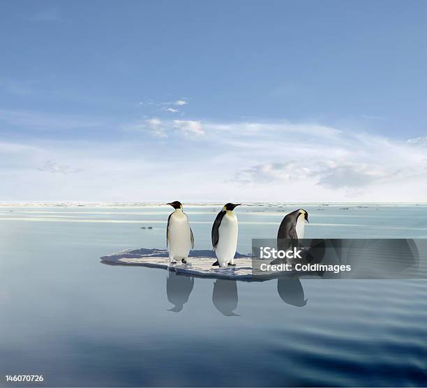 Aquecimento Global - Fotografias de stock e mais imagens de Pinguim - Pinguim, Massa de Gelo Flutuante, Derreter