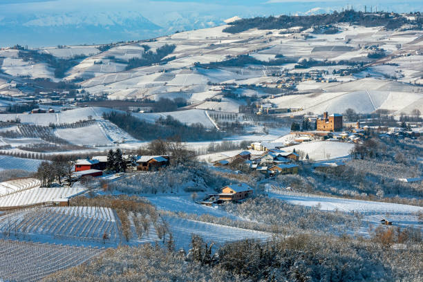 colline e vigneti coperti di neve bianca in piemonte, italia. - provincia di cuneo foto e immagini stock