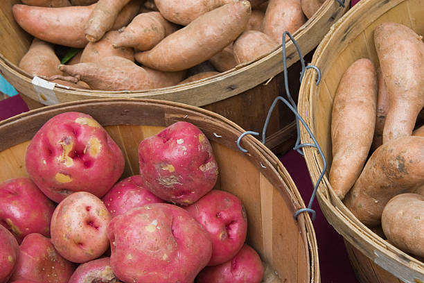 очаровательный и красный картофель - red potato raw potato market red стоковые фото и изображения