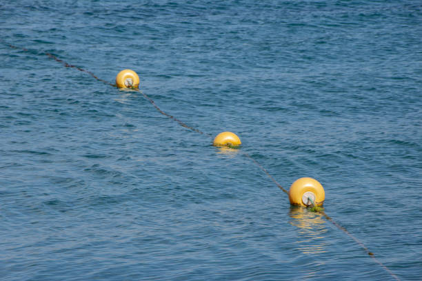 istock Three yellow buoys floating in the sea 1460712546