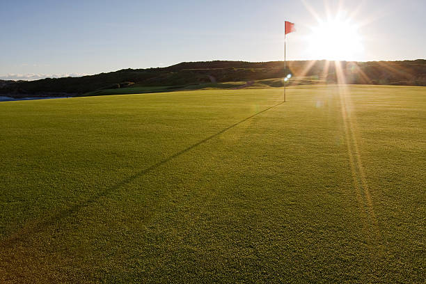 Golf Course Green in Botany Bay National Park stock photo