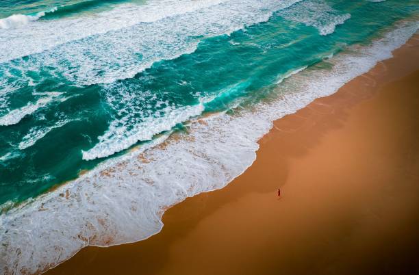 istock Drone view of the beautiful waves crashing at the beach in the daylight 1460719607