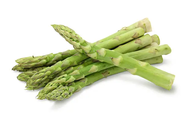 Photo of Fresh ripe asparagus on a white background