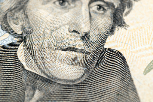portrait of the president on American twenty dollar bills, details of paper American cash dollars with a portrait of the president