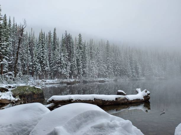istock Lake surrounded by snow covered trees 1460721405