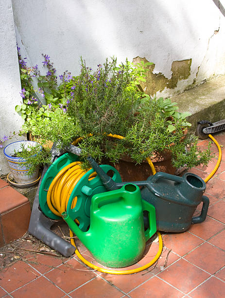 istock Herb garden, with watering cans and hose 146072165