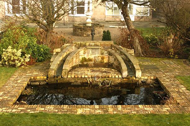 Garden with pond stock photo