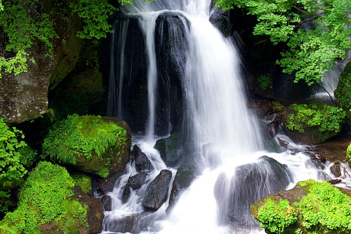 Ryuzu Waterfalls with lots of water surrounded by green foliage in the summer in Nikko, Tochigi, Japan.