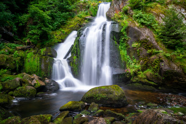 istock View of Triberg waterfall surrounded by green vegetation. Germany. 1460722304