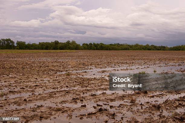 Hell Field Stockfoto und mehr Bilder von Agrarbetrieb - Agrarbetrieb, Baum, Durchnässt