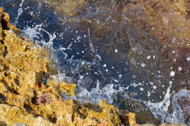 istock View of the waves hitting the rocky coast 1460723959
