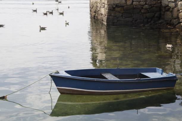 пришвартованная синяя деревянная лодка, с каменной стеной и водоплавающими птицами на заднем плане - waterbirds стоковые фото и изображения