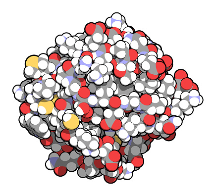 Thioredoxin antioxidant enzyme. 3D illustration. Atoms shown as spheres with conventional color coding.