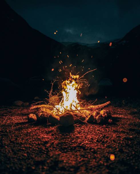 istock Beautiful view of a campfire in the forest at night 1460725464