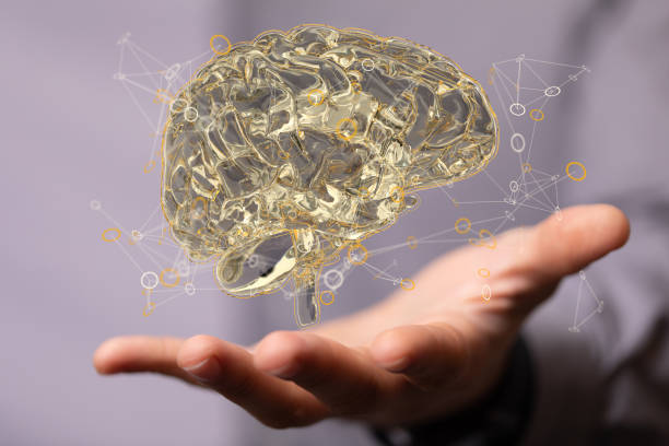 istock 3D rendering of a floating human brain above a hand 1460725834