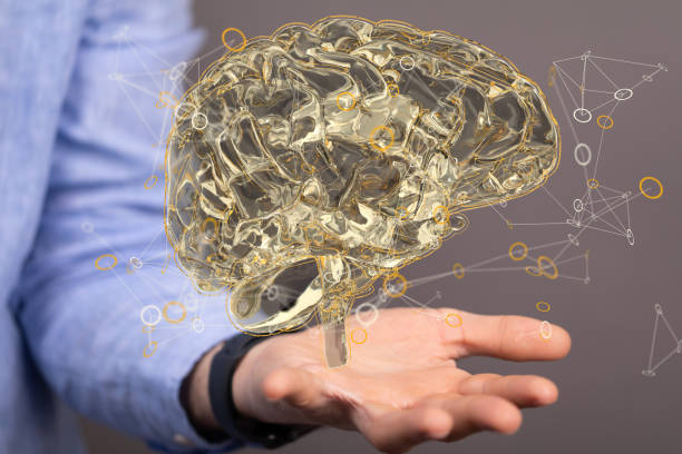 istock Closeup of a 3d rendered brain in a man's hand 1460725950