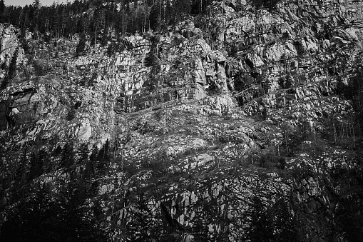 A scenic view of a rocky mountain range covered with forest in grayscale