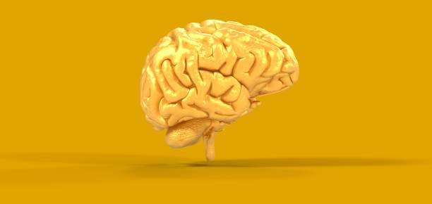 istock Polygonal 3D brain illustration on a yellow background 1460726378
