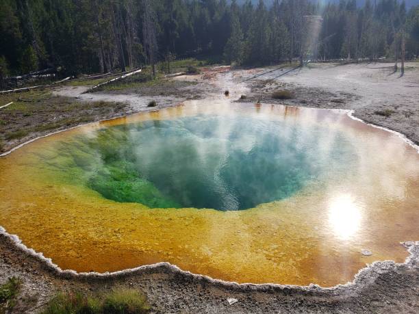istock High angle view of a grand prismatic spring 1460727917