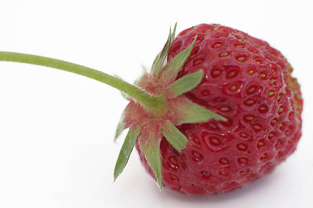 Strawberry close up stock photo
