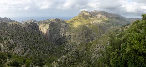 istock Scenic view over Mallorca's mountains 1460729830