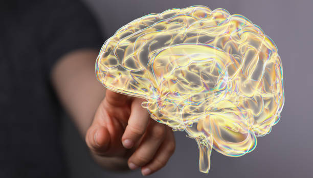 istock 3D rendering of a man pointing at a human brain anatomical model 1460729859