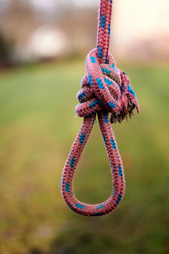 A vertical shot of double bowline loop knot