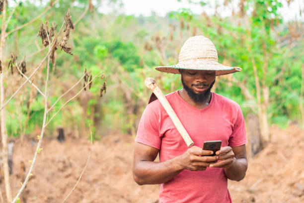 istock African male farmer checking his phone 1460730615