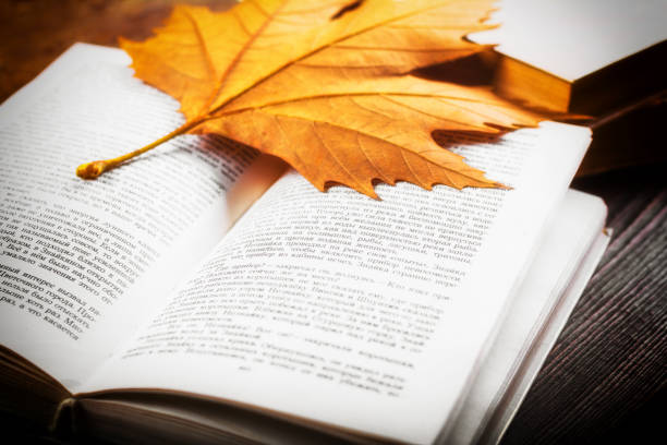 istock Maple leaf on an open book on a wooden table 1460731638