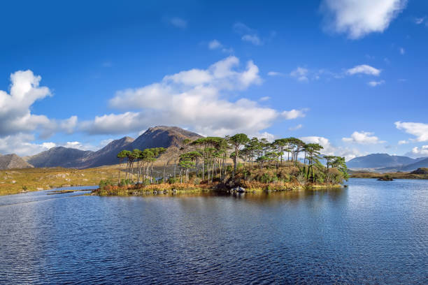 istock Landscape with lake in Galway county, Ireland 1460731652