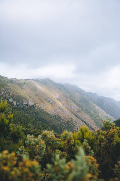 istock Vertical view of green hills and cliffs from a park 1460731674