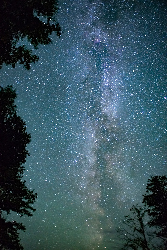 The starry sky through the trees, the milky way between the treetops illuminates the path in the forest. Fantastic idea of the eternal. The concept of the existence of other worlds in the universe