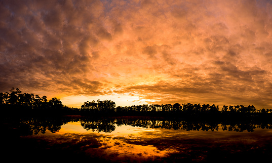 A silhouette of trees surrounding a lake on the sunset