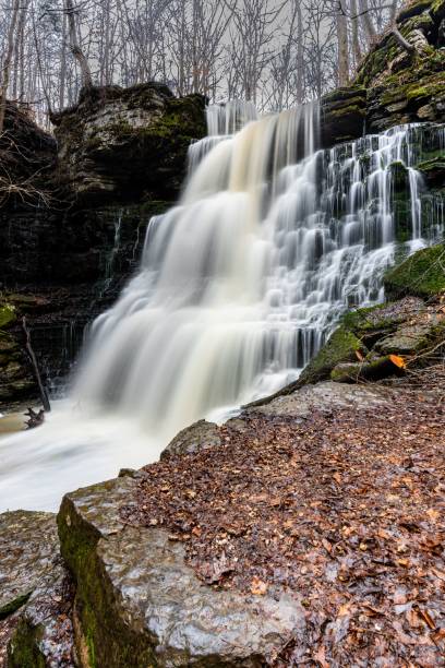 istock Vertical shot of a cascading flowing waterfall in a forest 1460732818