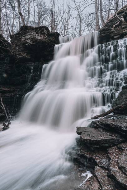 istock Vertical shot of a cascading flowing waterfall in a forest 1460732820