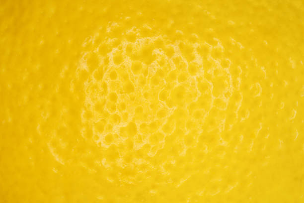 istock Lemon peel yellow, close-up macro view, full depth of field 1460734587