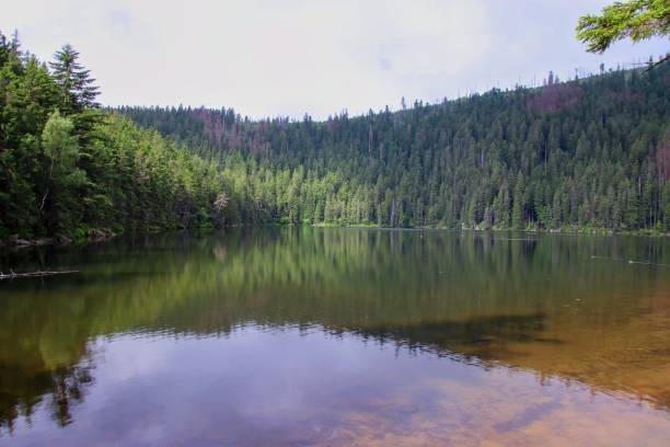 istock A beautiful reflection of trees and sky in the lake 1460734714