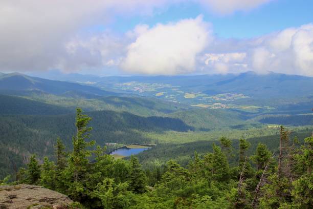 istock A view to the blue surface of Grosser Arbersee 1460734789