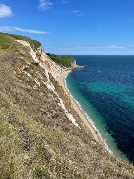 istock Vertical shot of a beautiful seascape with forested cliffs 1460735073