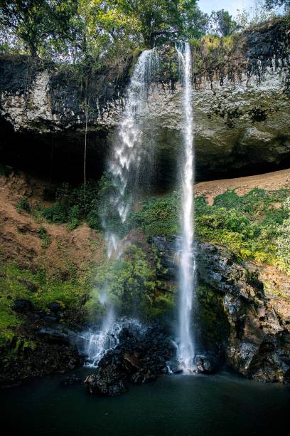 istock Vertical shot of a waterfall in a nature reserve 1460735107