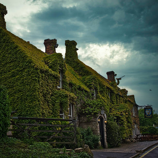 Old house overgrown with green plants