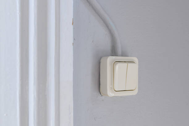 istock Old retro light switch in living room 1460735526