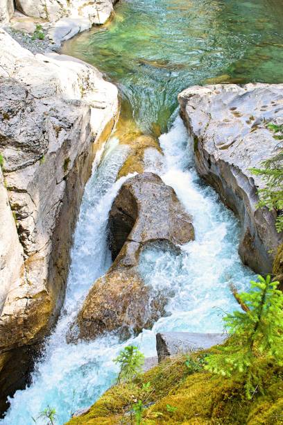 istock Vertical shot of a small waterfall flowing in the woods 1460736095