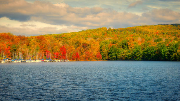 istock Beautiful view of a calm lake with dense autumn forest 1460736616